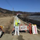 오리농장 이미지