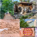 유림할인마트 이미지