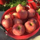 월곡농장 이미지