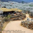 광주광역시 근교 한옥에서 찻집을? (퍼온글) 이미지