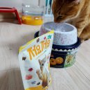 비트덴탈 이미지