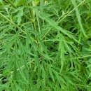 오금농장 이미지