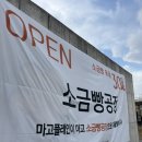 대구대로L | 경산 대구대 소금빵 맛집 대형카페 마고플레인&amp;마고소금빵공장