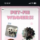 댕신나게 이미지