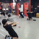 전일복싱 상무관 이미지