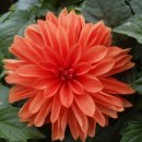 봉평농장 이미지