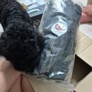어부상회 자연건조 꼭지미역 후기! 미역국 한 냄비 끓였더니 식감부터 달라요~~