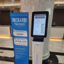 못골역 봄봄 동물약국 | 파크 소노벨 B동 스위트 오크취사/파크뷰 및 지하1층 굿앤굿마트와 푸드코트 메뉴 및 미채원 조식후기