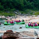 인제게임장 이미지