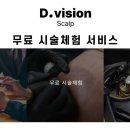 디비전 스칼프 이미지