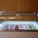 신우냉동