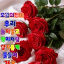 힐링 행복열차 출발~342 이미지