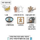 삼한일통의 복식사]어영진의 상소문에서 살펴보는 가죽 사용법 이미지