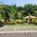 낭만가족 캠핑장 이미지