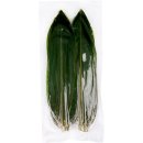 케이씨무역 이미지