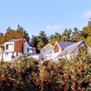 스테이월든 이미지