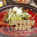 야식공룡 이미지