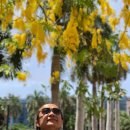 가로수민박 이미지