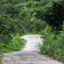 산길 - 구로구 구로동로 110-1 | 산길