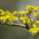 건강과 행복 이미지