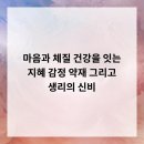 세종시365으랏차한의원 | 마음과 체질, 건강을 잇는 지혜 감정, 약재, 그리고 생리의 신비