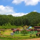 태기목장 이미지