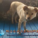내곡동305 이미지