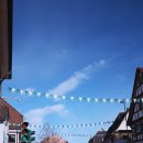 법이네 야채가게 | 마운자로 다이어트 후기, 독일에서 야채를 매일 먹게 해준 식단 꿀팁 : 부작용 해결