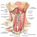 서동한의원 이미지