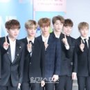 비투원 이미지