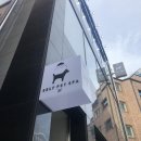 도그비잉펫케어 이미지