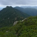 가리봉비디오 이미지