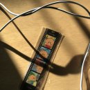 동구-21(대전천 | 대전에서 2박3일