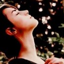 배꽃다방 이미지