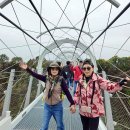 철원 한탄강 주상절리 트레킹(2025. 10. 26) 이미지