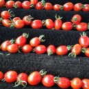 장전서당골 영농조합법인 이미지