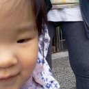 정세휘