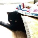 삼천리(삼천리3차)아파트 이미지