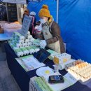 정란축산 이미지