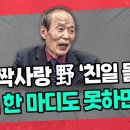 [장기표 신문화정책연구원장] 대북 짝사랑 野 '친일몰이' "北에 한 마디도 못하면서 " 이미지