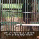 서씨농장 이미지