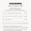 헤이브로우 이미지