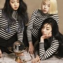 레이디스 코드 카카오 검색결과