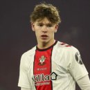 팀에이스 이미지