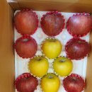 가나안농원 이미지