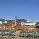 장바구리 이미지