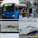 버스정류장 05-240 | 목포에서 제주 배편으로 한라산 윗세오름 당일치기 준비물과 이동 방법 &amp; 일정 공유