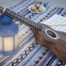 노래로 배우는 우쿨렐레 이미지