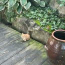 경원잠수 | 복 주세요🧧