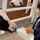 아름드리목장 이미지